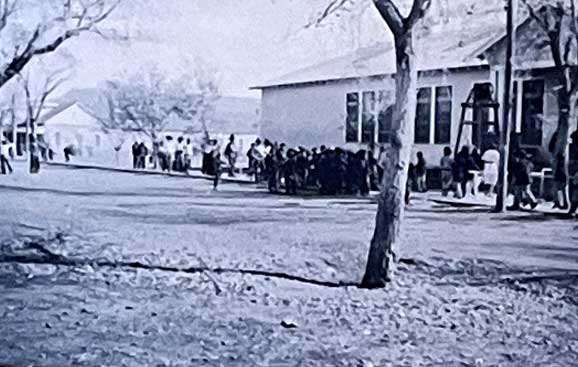 A group of people gathered outside a building near trees on a clear day.
